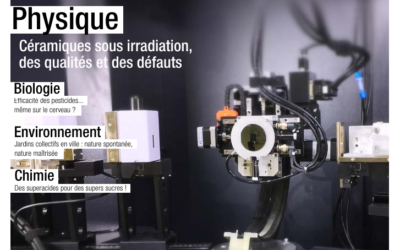 L&rsquo;IRCER à la une de Microscoop